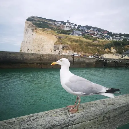 Les 4 Seasons, Agreable Avec Terrasse Et Jardin Ferienhaus *